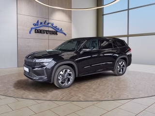 Skoda Kodiaq age.one-day registration Kaufen