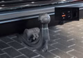 Daumennagel 11 - Audi Q8 50 TDI quattro|3x S-LINE|22-ZOLL|HEAD-UP|B&O