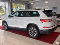 Daumennagel 3 - Skoda Kodiaq Tour  AHK/CAR-PLAY