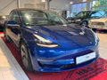 Daumennagel 10 - Tesla Model 3 Long Range Dual AWD