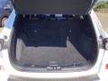 Daumennagel 19 - Ford Kuga 2.5 Duratec PHEV ST-LINE X LED NAVI Winter
