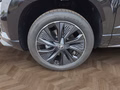 Daumennagel 16 - Skoda Karoq Sportline 1,5TSI DSG aAHK/ACC/Matrix/Navi/el.Klappe **