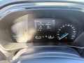 Daumennagel 15 - Ford Focus Turnier ST-Line - Matrix LED - Winter P. - Navi - Kamera - Nw Garantie -Top