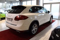 Daumennagel 7 - Porsche Cayenne S Mild Hybrid Panorama LEDER*Scheckheft