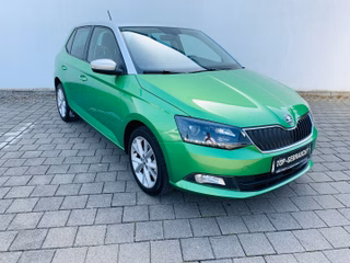 Skoda Fabia Gebrauchtwagen Kaufen