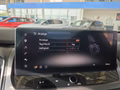 Daumennagel 40 - Nissan Qashqai N-Design 1.5 VC-T e-POWER UPE=50500 Euro   **