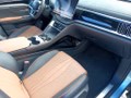 Daumennagel 8 - BYD Seal U DM-i erst 8tkm/Leder Beige/Pano/HUD/ACC TOP