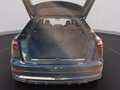Daumennagel 19 - Audi Q8 50 TDI quattro S Line Pano+Matrix+Sthz+ACC+Leder+Navi+Kamera