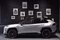 Daumennagel 4 - Toyota RAV 4 RAV4 Hybrid 4x4 Style Selection