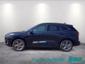 Daumennagel 3 - Ford Kuga 2.5 Duratec PHEV ST-LINE X LED AHK W-Paket