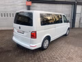 Daumennagel 10 - Volkswagen T6 Transporter Bus Caravelle Comfortline lang