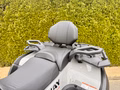 Daumennagel 8 - Segway Snarler 1000 AT10 DLX ABS T-Box, Heizung