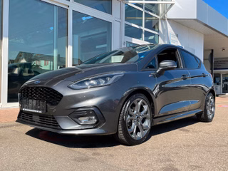 Ford Fiesta Gebrauchtwagen Kaufen