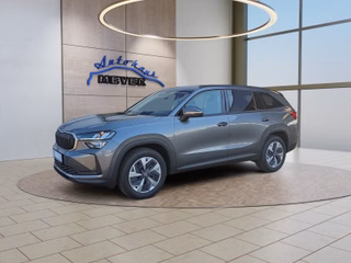 Skoda Kodiaq age.one-day registration Kaufen