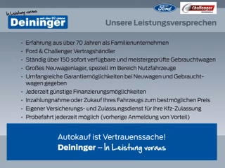 Challenger 317 Graphite Edition 165 PS 4,1 to Automatic mit Hubbett - foto 9