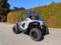 Daumennagel 5 - Polaris RZR 200 Youth