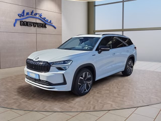 Skoda Kodiaq age.one-day registration Kaufen