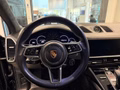 Daumennagel 18 - Porsche Cayenne E-Hybrid Platinum Edition