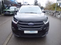 Daumennagel 2 - Ford Edge Sport 4x4 8-Fach bereift