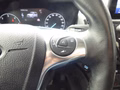 Daumennagel 17 - Ford Grand Tourneo Connect Titanium