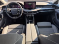 Daumennagel 10 - Skoda Superb Combi 2,0TDI DSG Navi/DCC/ACC/Kamera/Sitzhz.