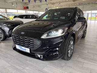 Ford Kuga Gebrauchtwagen Kaufen