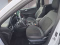 Daumennagel 9 - Ford Kuga ST-Line X 2,5 PHEV 20*Alu/AHK/Pano/Matrix/el.Klappe  **