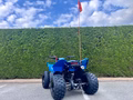 Daumennagel 5 - CFMOTO CFORCE 110 *Kinderquad*