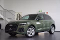 Daumennagel 1 - Audi Q5 40 TDI quattro S line  AUT NAV LED AHK