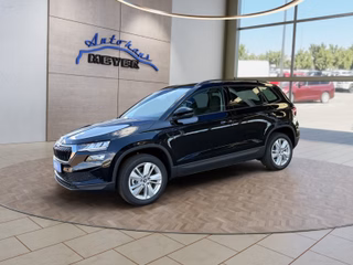 Skoda Karoq age.one-day registration Kaufen
