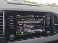 Daumennagel 45 - Skoda Karoq Sportline 1,5TSI DSG aAHK/ACC/Matrix/Navi/Kessy   **