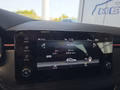 Daumennagel 34 - Skoda Kamiq Monte Carlo 1,5TSI DSG 5*J.Gar/Kessy/Matrix/Winterp/Kamera