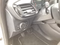 Daumennagel 17 - Ford Fiesta 1.0 EcoBoost Hybrid S&S TITANIUM Winter
