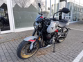 Daumennagel 6 - Triumph Trident 800 NEU! 115PS Quick-Shifter