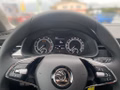 Daumennagel 8 - Skoda Scala 1.0 TSI Tour (NW)