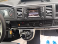 Daumennagel 15 - Volkswagen T6 Transporter Pritsche lang Doppelkabine