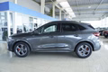 Daumennagel 2 - Ford Kuga ST-Line X 2,5 FHEV ACC/LED/Navi/Leder/el.Klappe  **