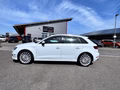 Daumennagel 3 - Audi A3 Sportback e-tron ambition NAVI|AHK|S-LINE