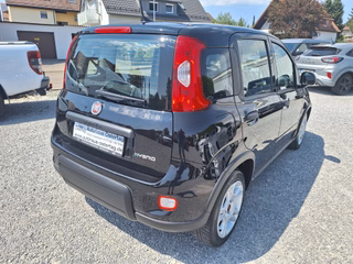 Fiat Panda 1.0 Hybrid 69PS Klima PDC DAB Spurhalteassistent - bilder 3