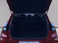 Daumennagel 10 - Ford Puma Titanium