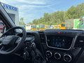 Daumennagel 8 - Iveco Daily 35S14 2x L2/L3H2 Garantie AHK Klima Liefer