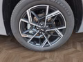 Daumennagel 15 - Hyundai TUCSON 1,6T PHEV N Line X UPE=57000 Euro! **