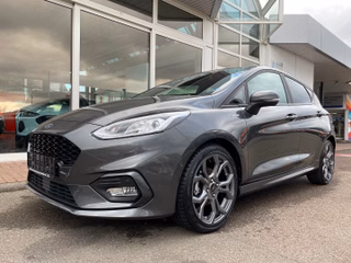 Ford Fiesta Gebrauchtwagen Kaufen