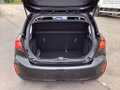 Daumennagel 18 - Ford Fiesta 1.0 EcoBoost S&S TITANIUM NAVI SHZ vo.