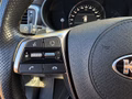 Daumennagel 14 - Kia Sorento GT-Line 4WD HUD/AHK/LEDER/NAVI/PANO/RFK