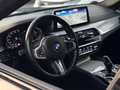 Daumennagel 23 - BMW 530 d xDrive M-Sport/DRIVING-ASS-PROF/ACC/H&K/LCI/VOLL/