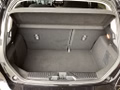Daumennagel 17 - Ford Fiesta 1.0 EcoBoost S&S TITANIUM Winter-Paket