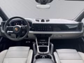 Daumennagel 14 - Porsche Cayenne E-Hybrid