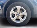 Daumennagel 9 - Ford Kuga Plug-In Hybrid Cool & Connect