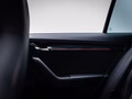 Daumennagel 23 - Skoda Octavia Combi RS 245 /COLUMB/VIRTUAL/ACC/AHK/RFK